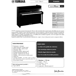 Yamaha b2 silent