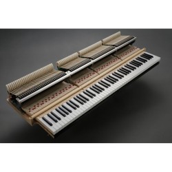 KAWAI GL10 - Piano 1/4 de queue