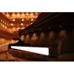 Shigeru Kawai SK-EX Piano - Piano de concert