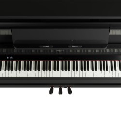 LX-9 PE (noir brillant) Roland Piano numérique