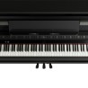 LX-9 PE (noir brillant) Roland Piano numérique